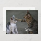 Funny Cat Briefkaart Boop (Voorkant / Achterkant)