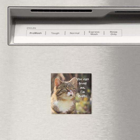 Funny Cat Caption Vertrouw me dat ik fluffy ben Magneet (Insitu (Vaatwasser))