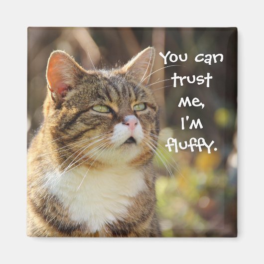 Funny Cat Caption Vertrouw me dat ik fluffy ben Magneet (Voorkant)