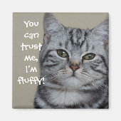 Funny Cat Caption Vertrouw me dat ik fluffy ben Magneet (Voorkant)