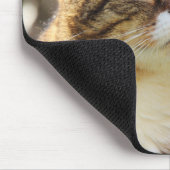 Funny Cat Caption Vertrouw me dat ik fluffy ben Muismat (Hoek)