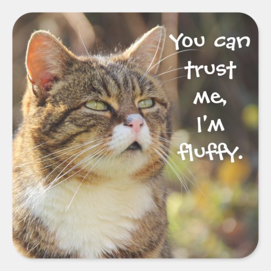 Funny Cat Caption Vertrouw me dat ik fluffy ben Vierkante Sticker (Voorkant)