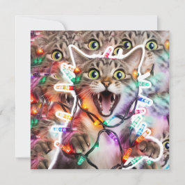 Funny Cat Christmas Lights Holiday Kaart