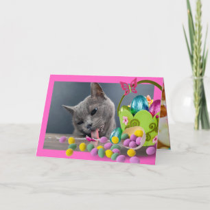 Funny Cat Custom Easter Kaart