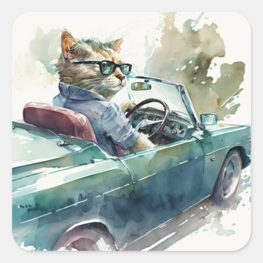 Funny cat die een fancy sticker bestuurt (Voorkant)