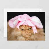 Funny Cat Easter Briefkaart (Voorkant / Achterkant)