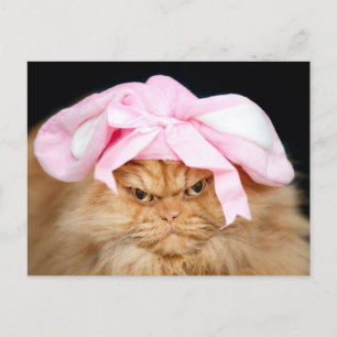 Funny Cat Easter Briefkaart