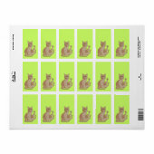Funny Cat Etiket (Full Sheet)