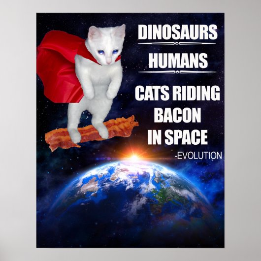 Funny Cat: Evolutie Poster (Voorkant)