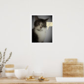 Funny Cat Foto Poster (Keuken)