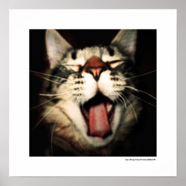 Funny Cat Fun Tongue uit Kitten Cool Poster Prints