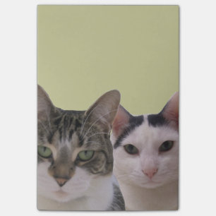Funny Cat Gang Post-it® Notes