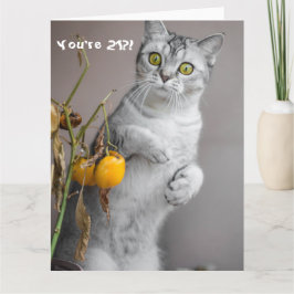 Funny Cat Happy 21st Birthday Card Kaart