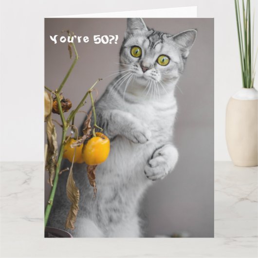 Funny Cat Happy 50th Birthday Card Kaart (Voorkant)