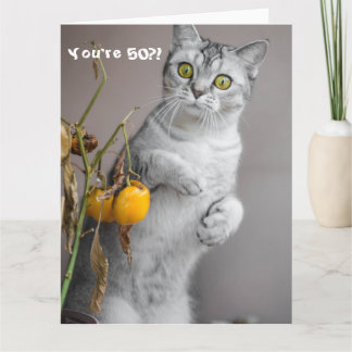 Funny Cat Happy 50th Birthday Card Kaart