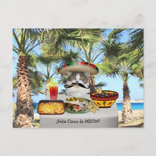 Funny Cat Happy Cinco de Mayo Briefkaart (Voorkant)