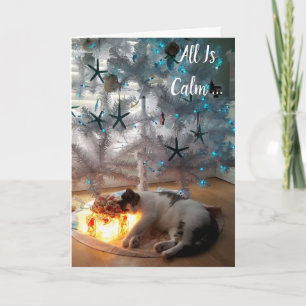 Funny Cat helemaal is kalm kerstKaart Feestdagen Kaart