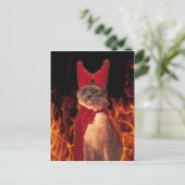 Funny Cat in Halloween Devil Costume Briefkaart (Staand voorkant)