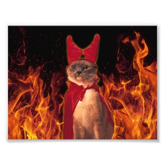 Funny Cat in Halloween Devil Costume Foto Afdruk (Voorkant)