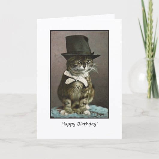 Funny Cat in Pet Birthday Kaart (Voorkant)