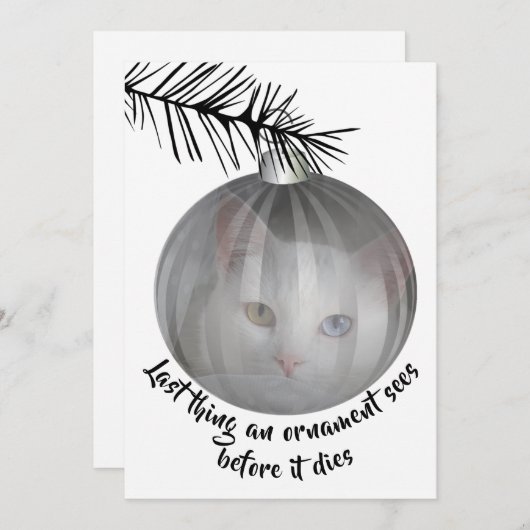 Funny Cat Kerstmis Afgelopen Ding Bauble Sees card Kaart (Voorkant / Achterkant)