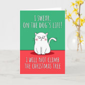 Funny Cat Kerstmis Kaart (Gele Bloem)