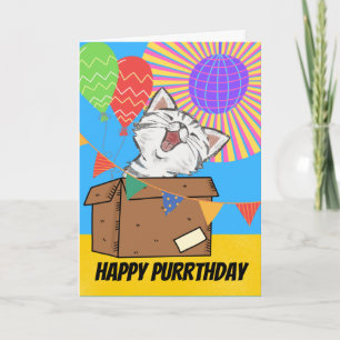 Funny Cat Leaving Birthday Gift in Box Kaart