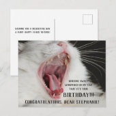 Funny Cat Leuk Verjaardag Briefkaart (Voorkant / Achterkant)