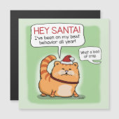 Funny Cat Lies voor Kerstmis (Voorkant / Achterkant)
