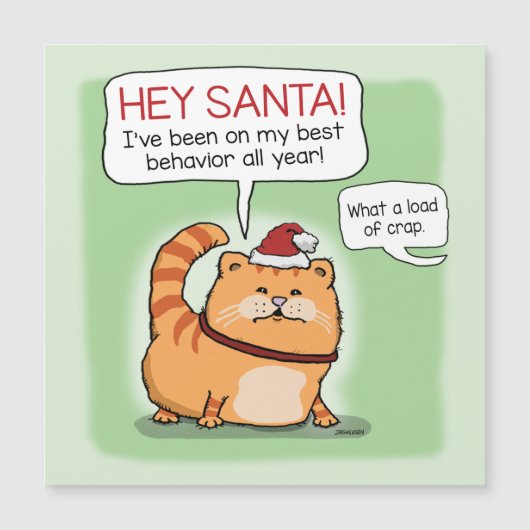 Funny Cat Lies voor Kerstmis (Voorkant)