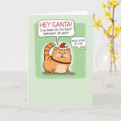 Funny Cat Lying to Santa Claus Kerstmis Kaart (Gele Bloem)
