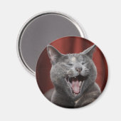 Funny cat magneet (Voorkant / Achterkant)