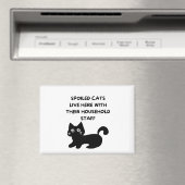 Funny Cat Magneet (Insitu (Vaatwasser))