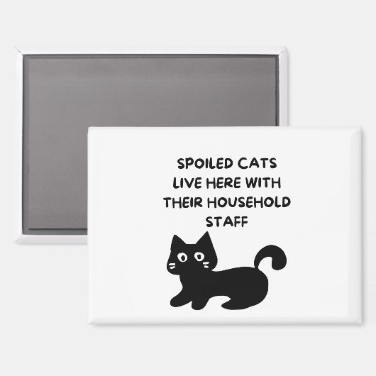 Funny Cat Magneet (Voorkant / Achterkant)