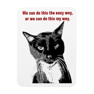 Funny Cat Magnet Magneet