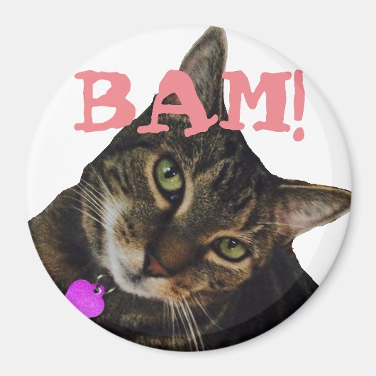 Funny Cat Magnet Magneet (Voorkant)