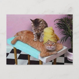 Funny Cat Massage Briefkaart
