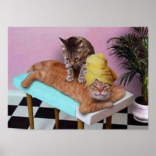 Funny Cat Massage Poster (Voorkant)