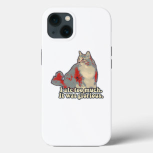 Funny cat meme for kitten lovers and owners iPhone 13 hoesje
