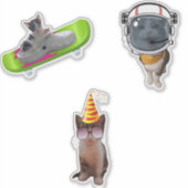 Funny Cat Memes Sticker (Voorkant)