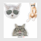 Funny Cat Memes Sticker (Vel)