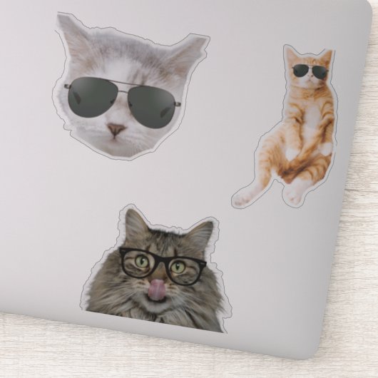 Funny Cat Memes Sticker (Detail)