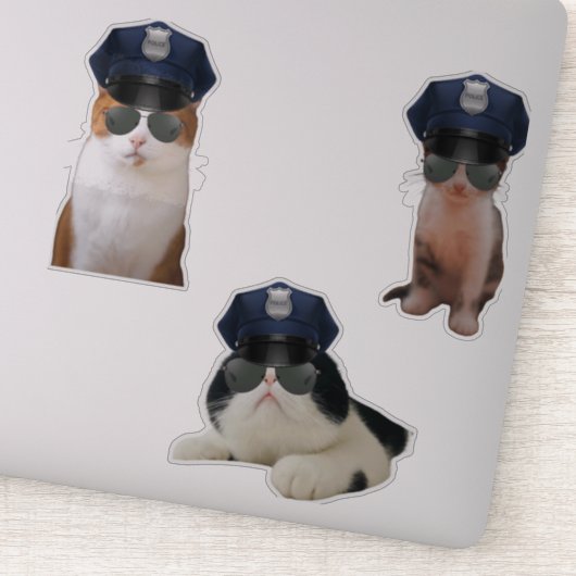 Funny Cat Memes Sticker (Detail)