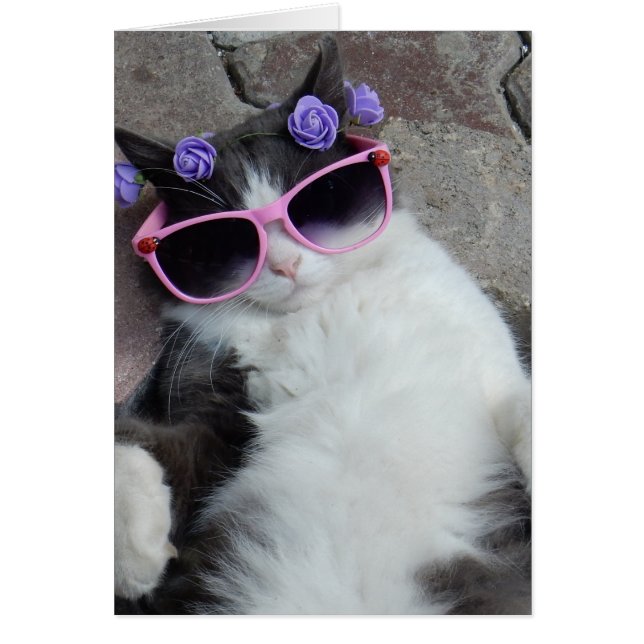 Funny cat met roze bril (Voorkant)