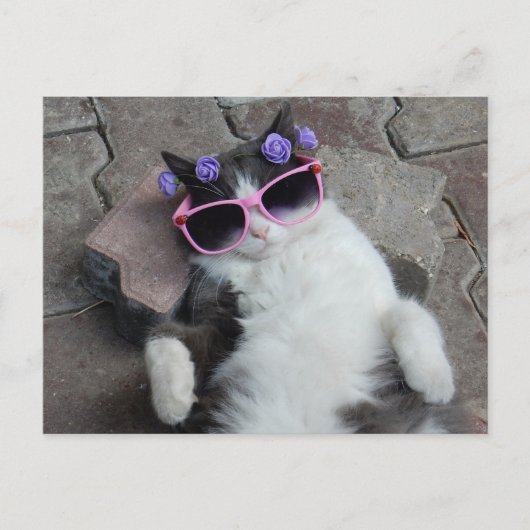 Funny cat met roze bril briefkaart (Voorkant)