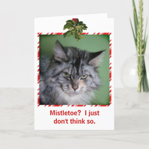 Funny Cat Mistletoe Christmas wenskaart Feestdagen Kaart