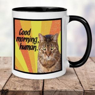Funny Cat Mok - Goedemorgen, mens