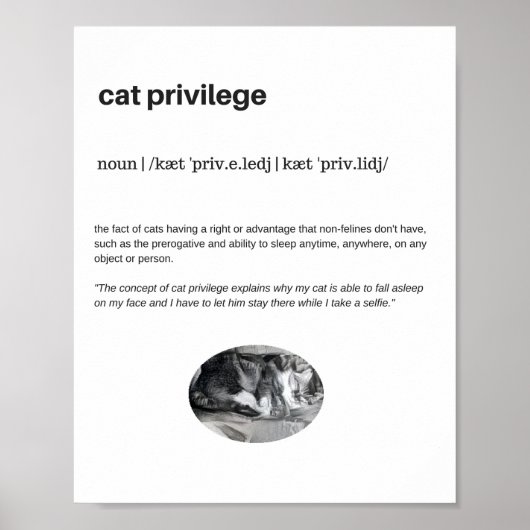 Funny cat privilege slaapt selfie poster matte (Voorkant)
