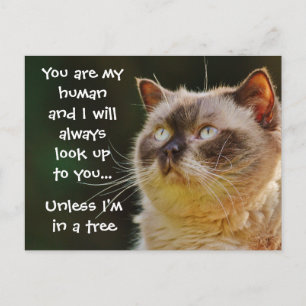 Funny Cat Quote, kijk naar je Briefkaart