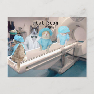 Funny Cat Scan Afbeelding Briefkaart